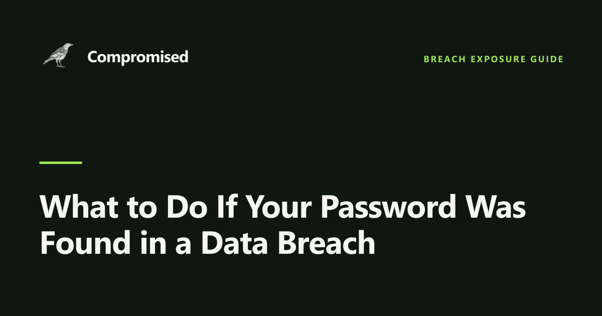 What to Do If Your Password Was Found in a Data Breach
