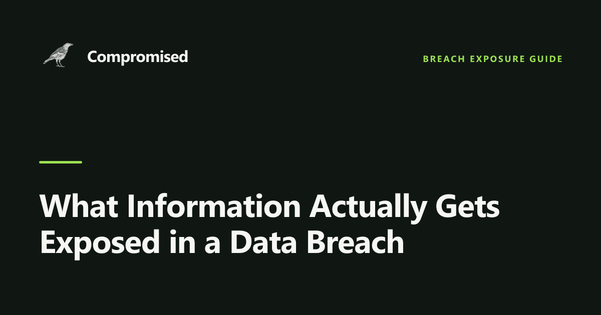 What Information Actually Gets Exposed in a Data Breach